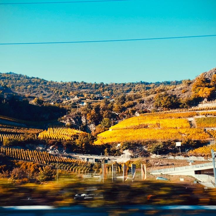 Kids playground area in Canada